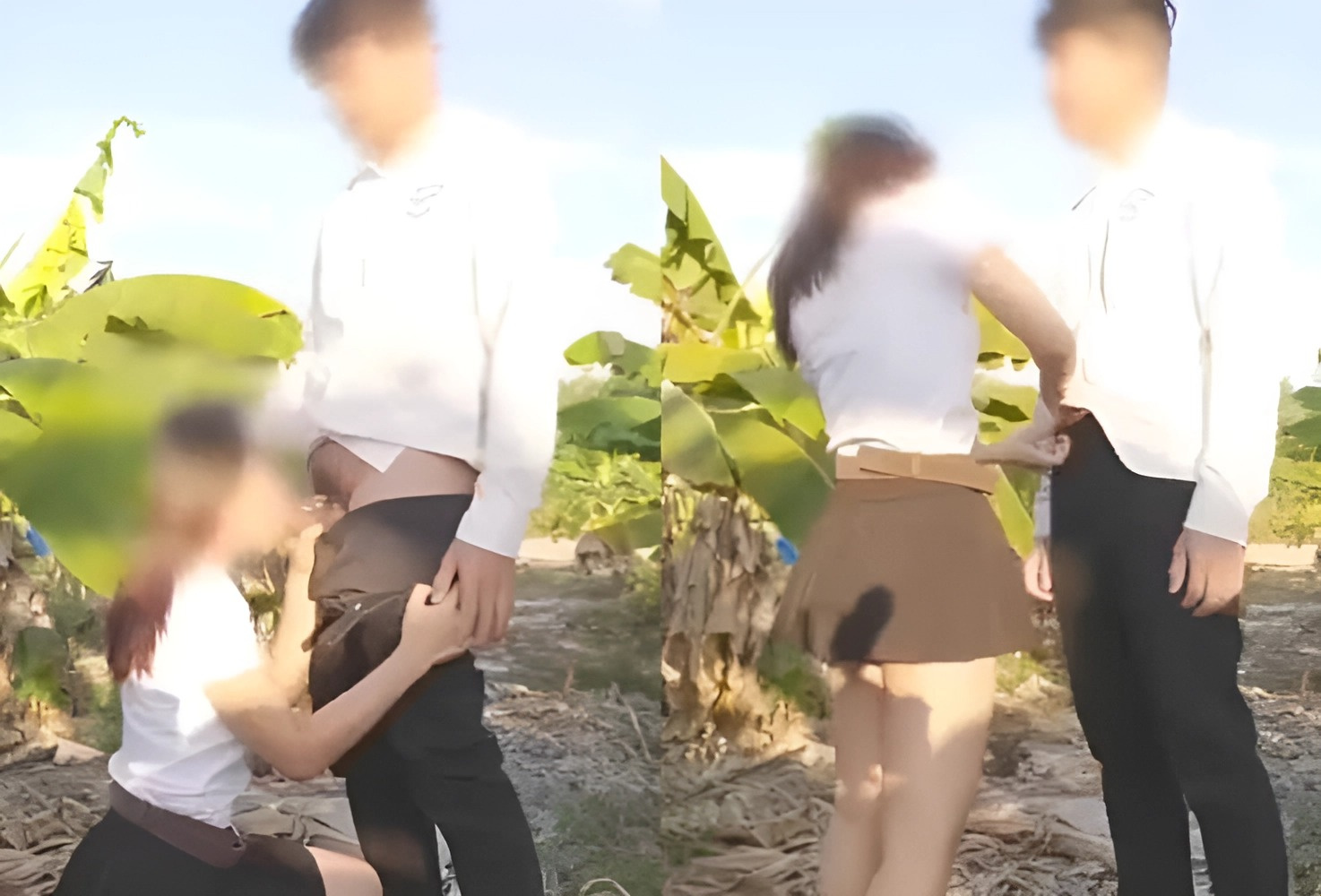 Kỷ niệm giữa vườn chuối